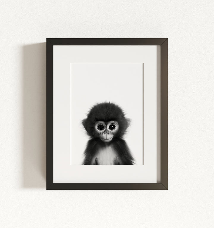 Baby Monkey Framed Art