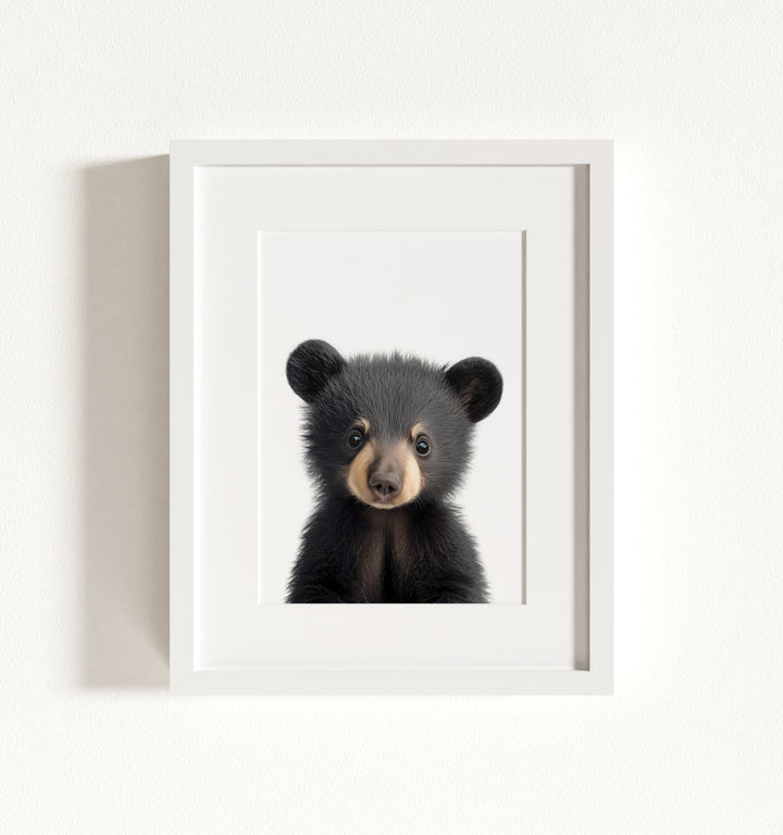 Baby Black Bear Framed Art