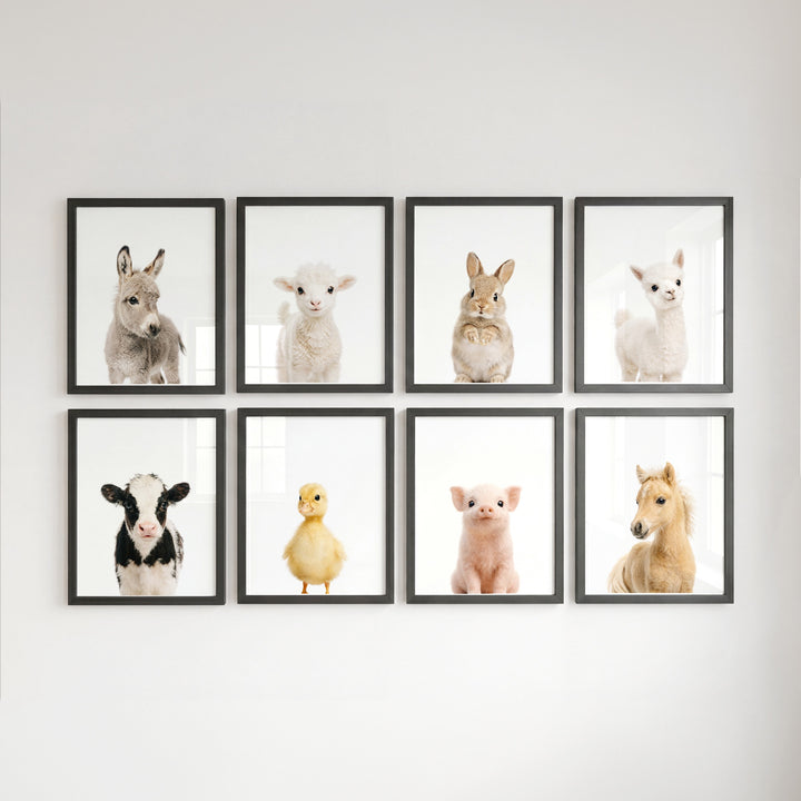 Farm Animals - Set of 8 baby animals Nursery Decor
