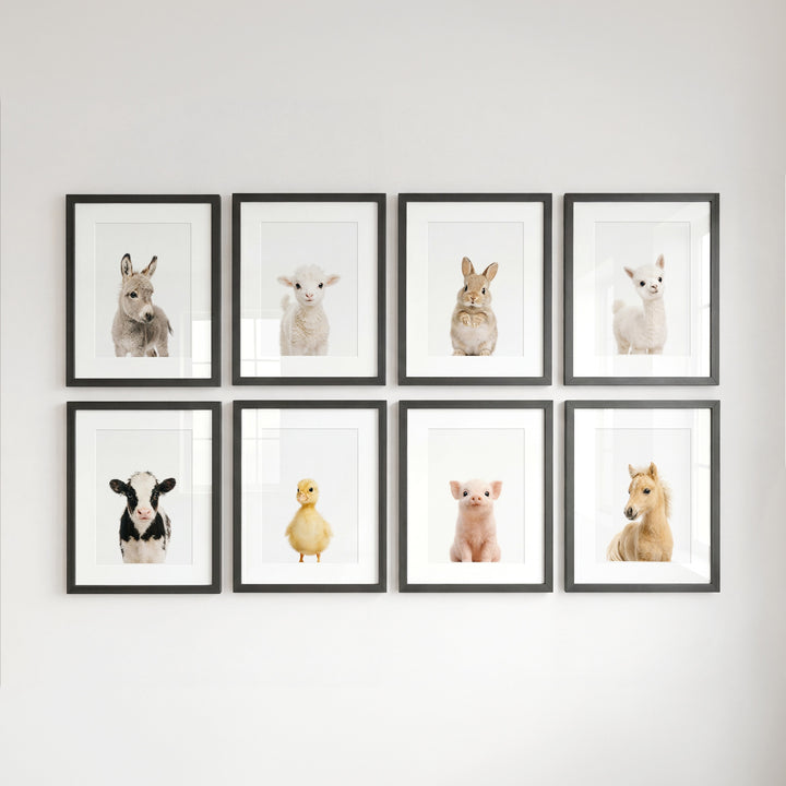 Farm Animals - Set of 8 baby animals Nursery Decor