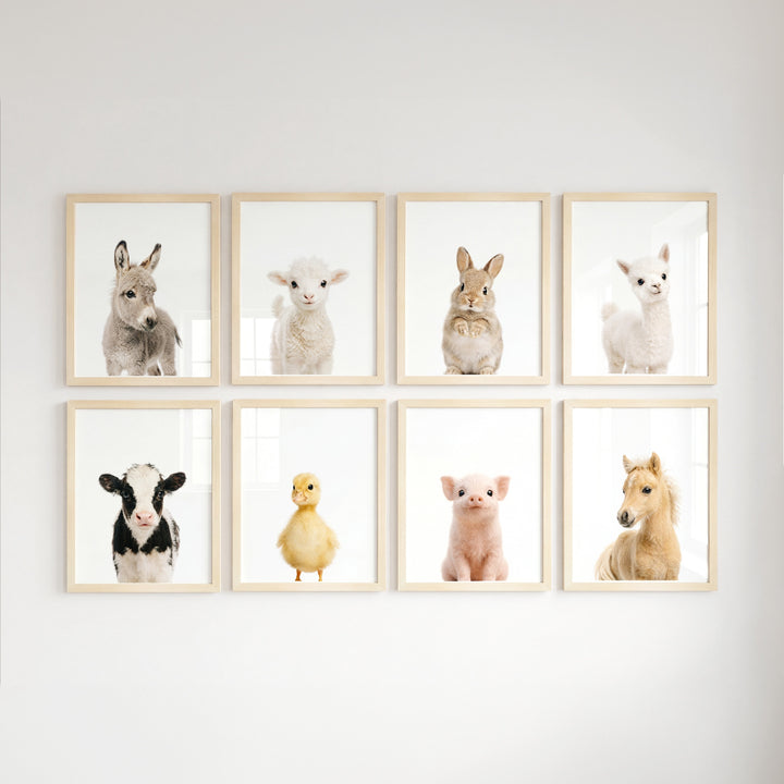 Farm Animals - Set of 8 baby animals Nursery Decor