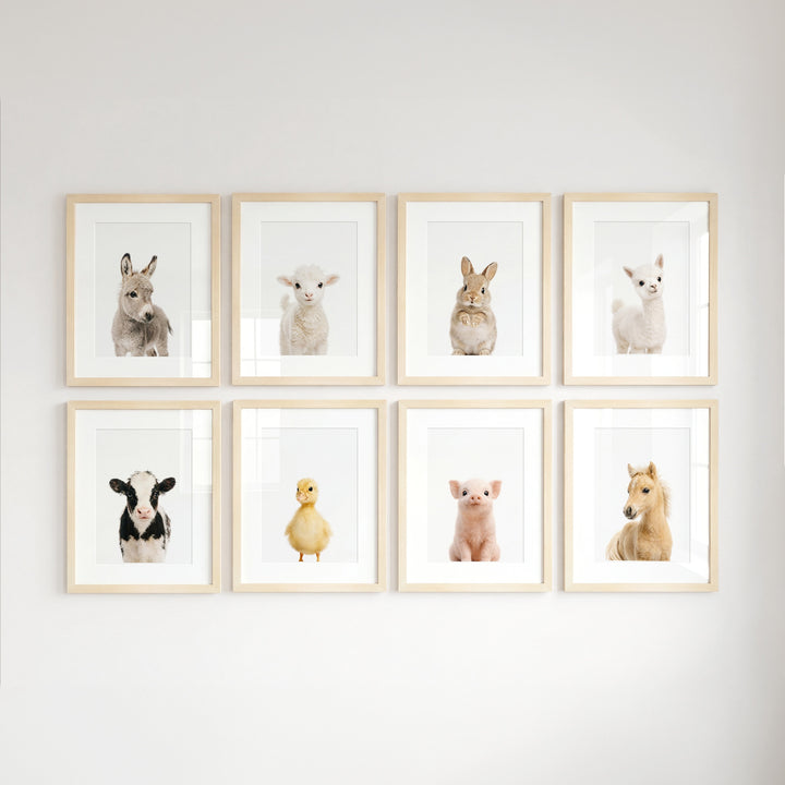 Farm Animals - Set of 8 baby animals Nursery Decor