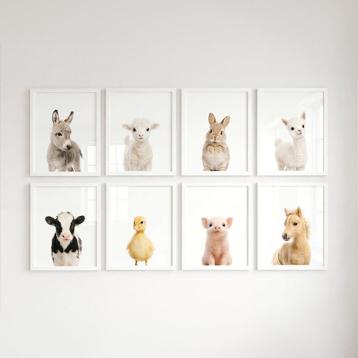 Farm Animals - Set of 8 baby animals Nursery Decor