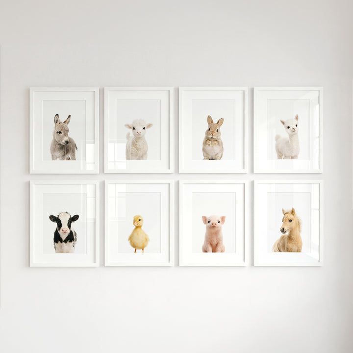 Farm Animals - Set of 8 baby animals Nursery Decor