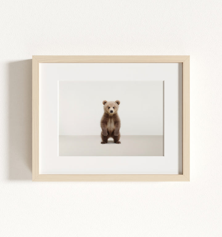 Studio Bear Framed Art
