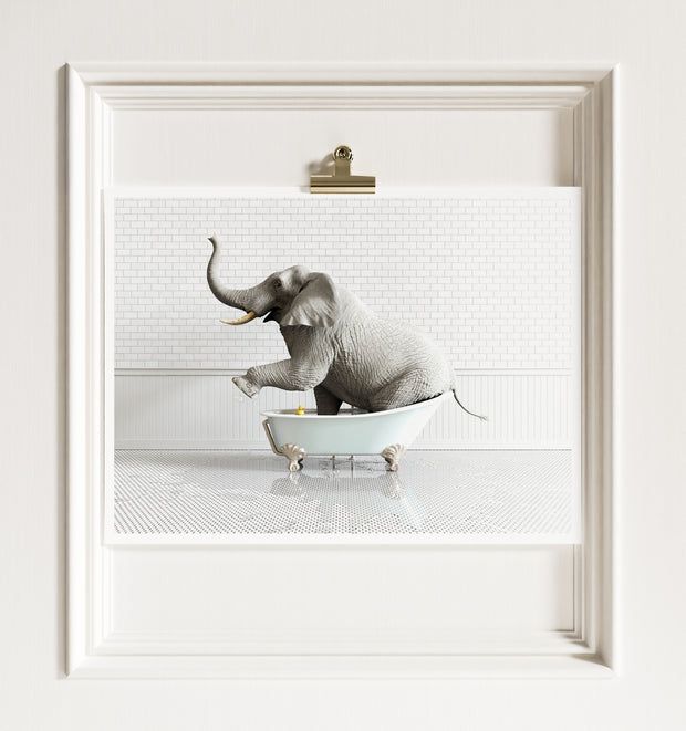Animals in Bathtubs - Mix and Match Horizontal