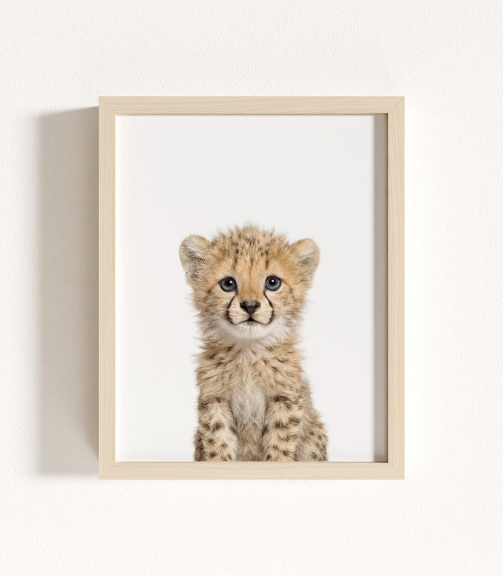 Framed Baby Safari Animals Nursery Decor - African Animals Set of 6