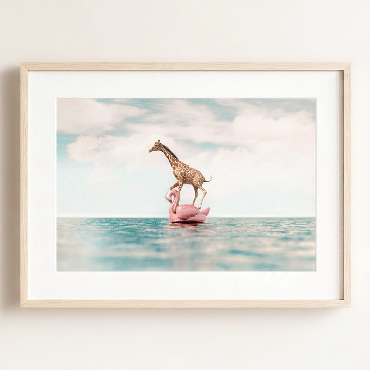 Giraffe Afloat a Flamingo
