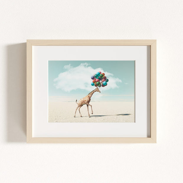 Up, Up & Away Collection