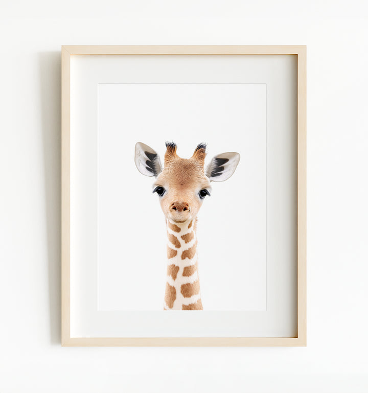 Baby Safari Animals Nursery Decor - African Animals Set of 6 Prints