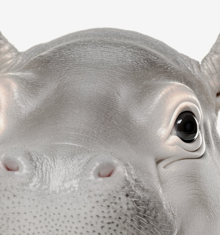 Baby Hippo