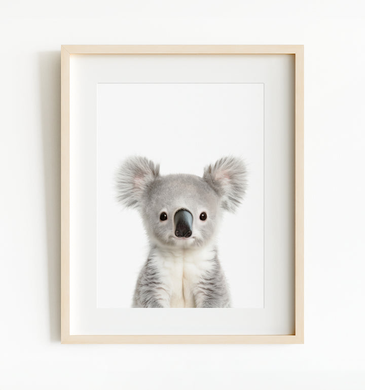 Nursery Art Baby Australian Animals Set of 6