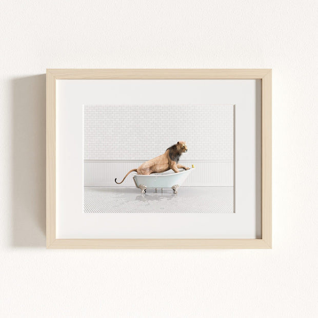 Lion in Blue Bathtub