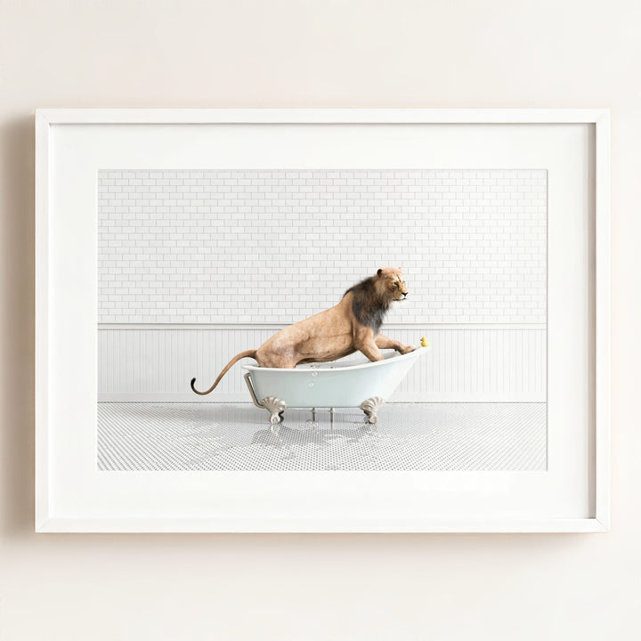 Lion in Blue Bathtub