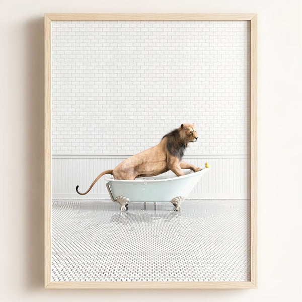 Lion in Blue Bathtub — Framed