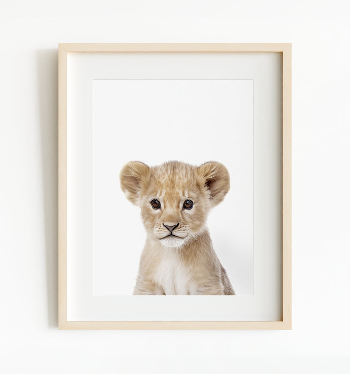 Baby Safari Animals Nursery Decor - African Animals Set of 6 Prints