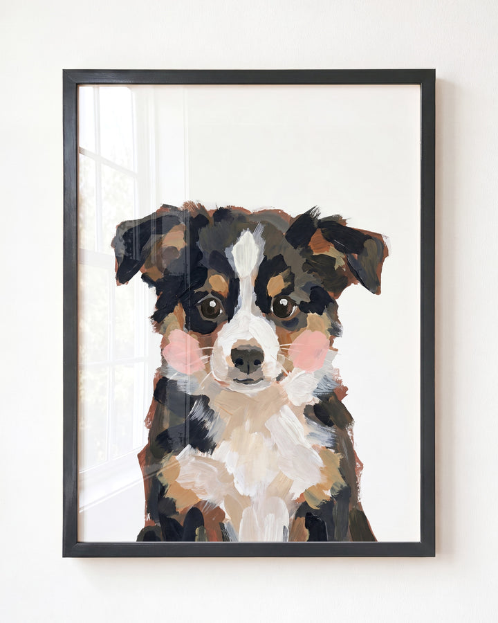Little Painted Dog-Australian-Shepherd