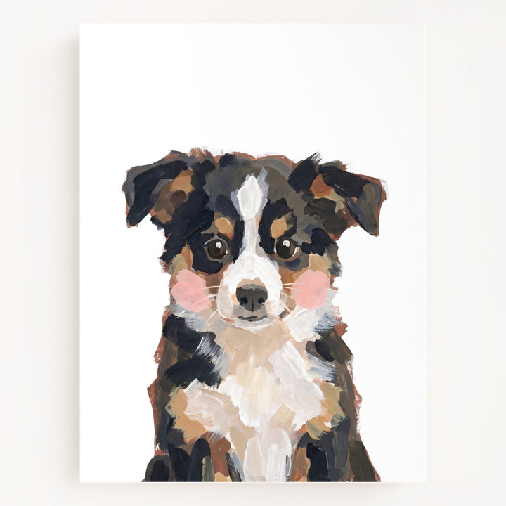 Little Painted Dog-Australian-Shepherd
