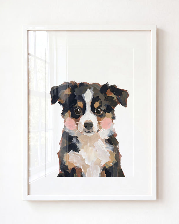 Little Painted Dog-Australian-Shepherd