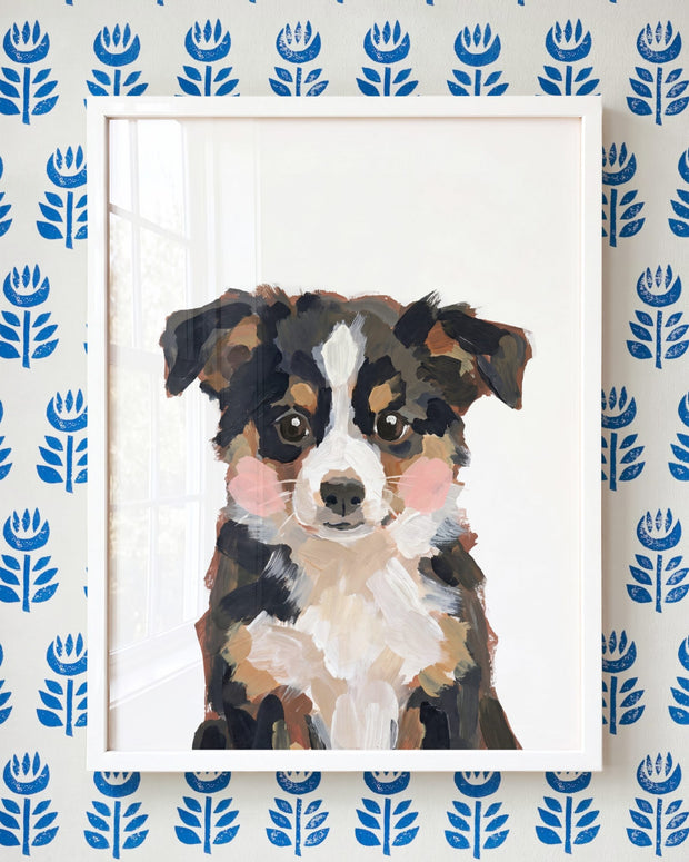 Little Painted Dog-Australian-Shepherd