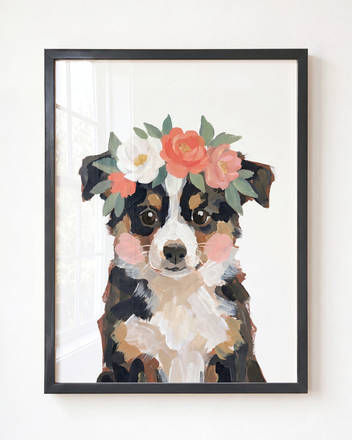 Little Painted Dog-Australian-Shepherd
