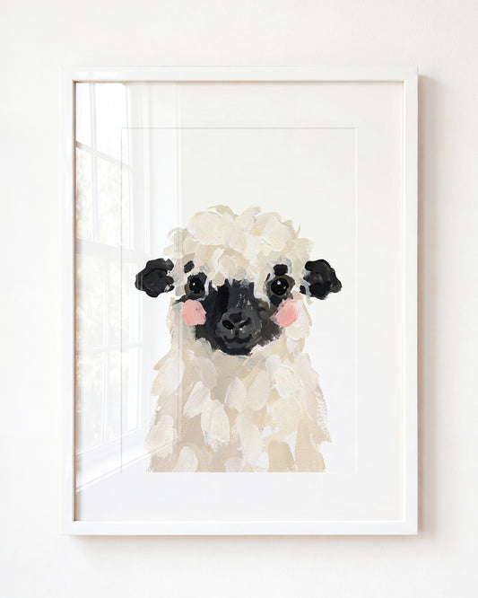 Little Painted Sheep-Blacknose