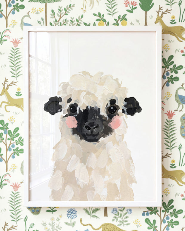 Little Painted Sheep-Blacknose