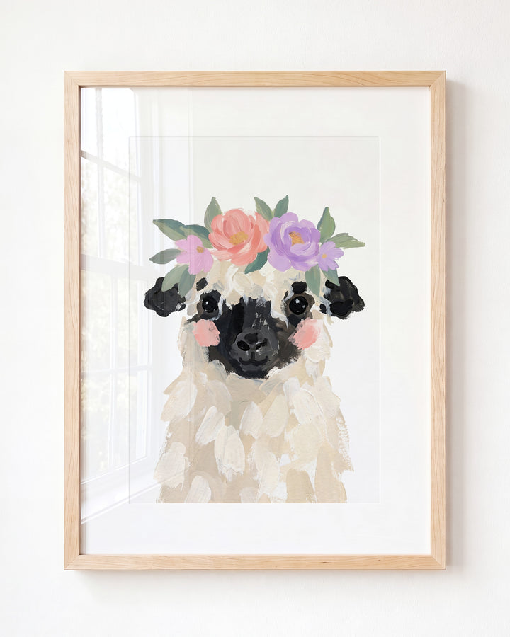 Little Painted Sheep-Blacknose