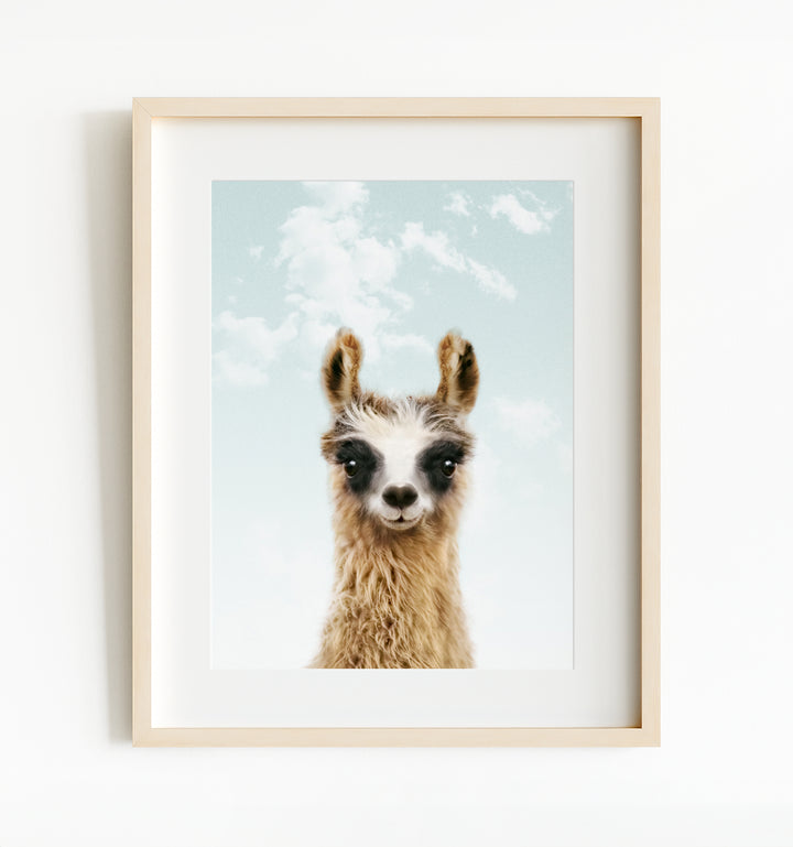 Baby Llama