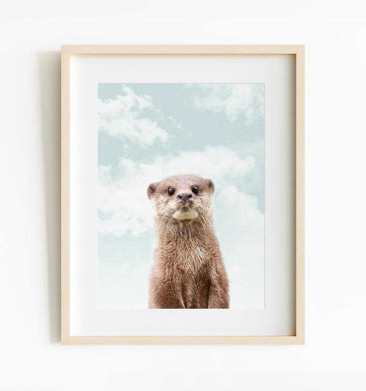 Baby Otter