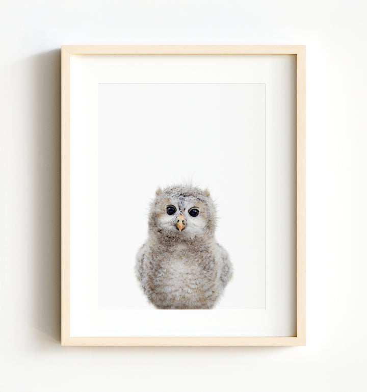 Woodland Animals Set of 8 Baby Animals Nursery Decor Art Prints