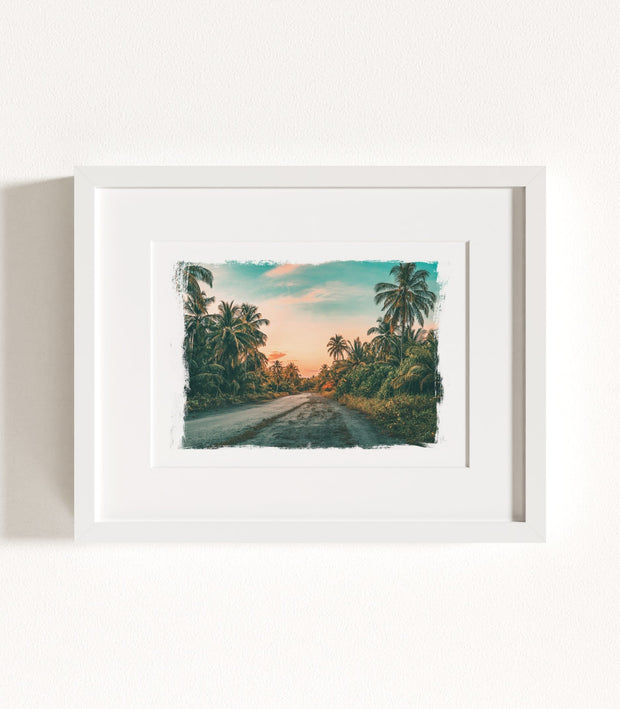 Palm Tree Jungle Horizontal