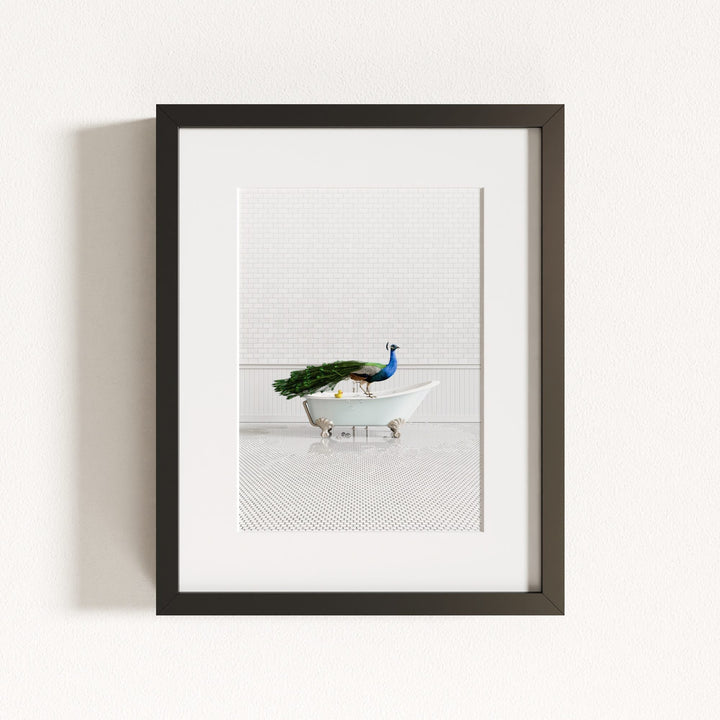 Peacock in Blue Bathtub