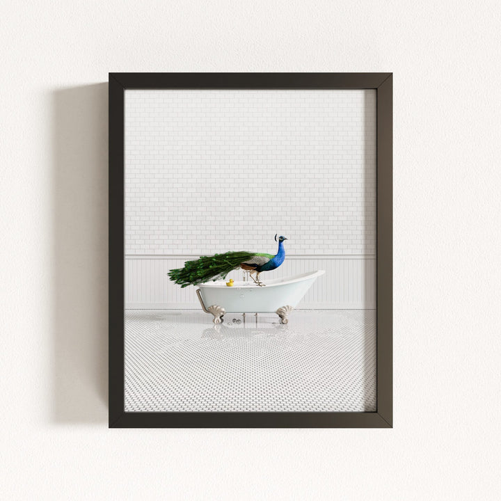 Peacock in Blue Bathtub