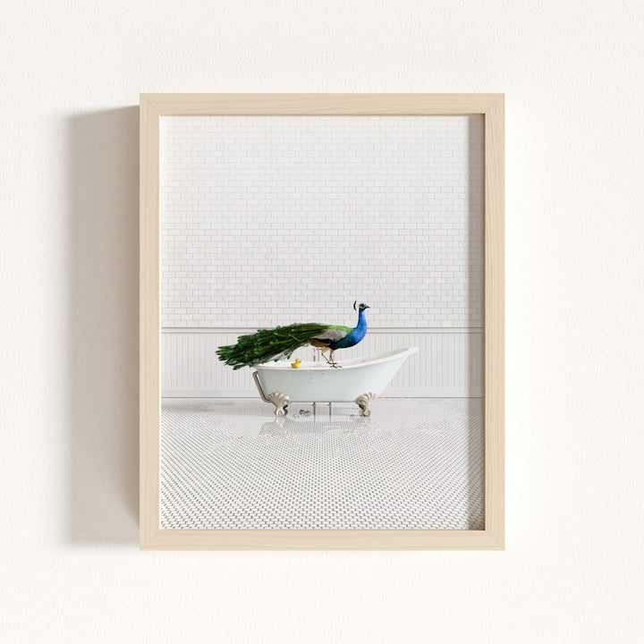 Peacock in Blue Bathtub