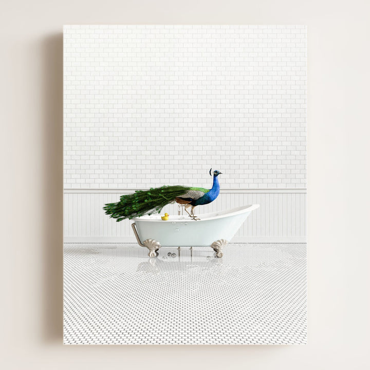 Peacock in Blue Bathtub