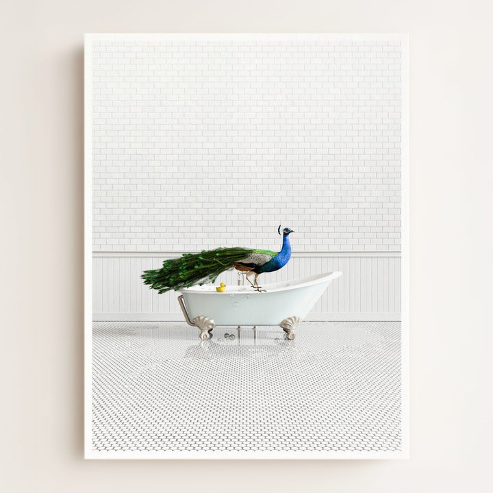Peacock in Blue Bathtub