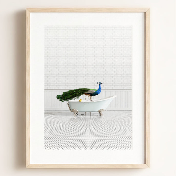 Peacock in Blue Bathtub