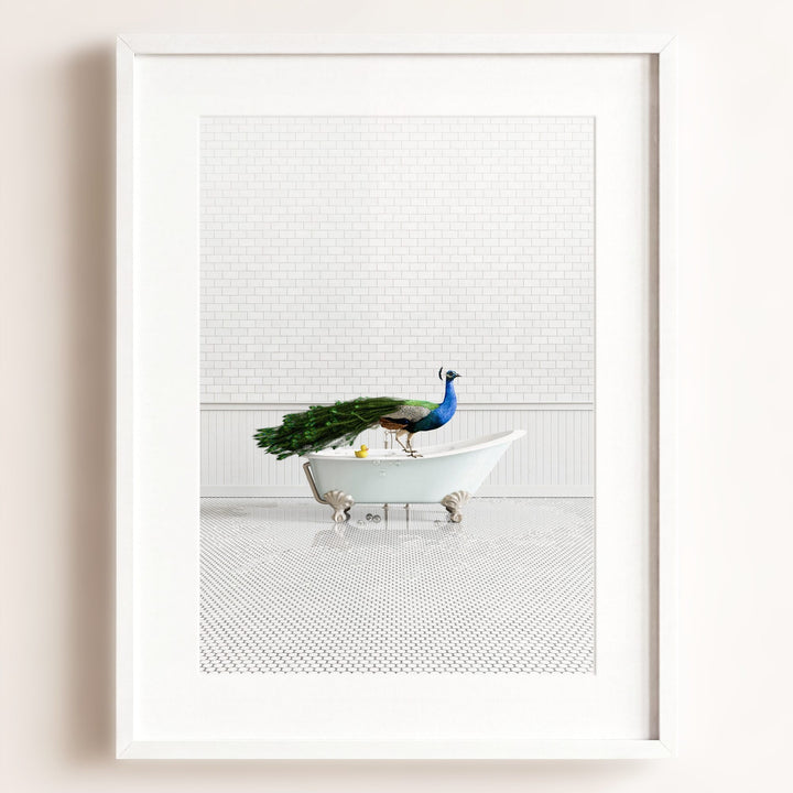 Peacock in Blue Bathtub