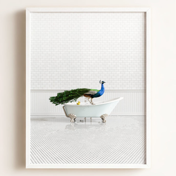 Peacock in Blue Bathtub