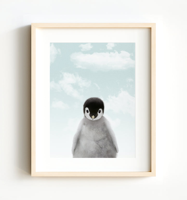 Baby Penguin