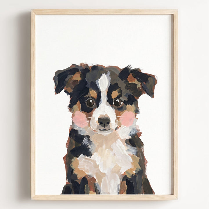 Little Painted Dog-Australian-Shepherd