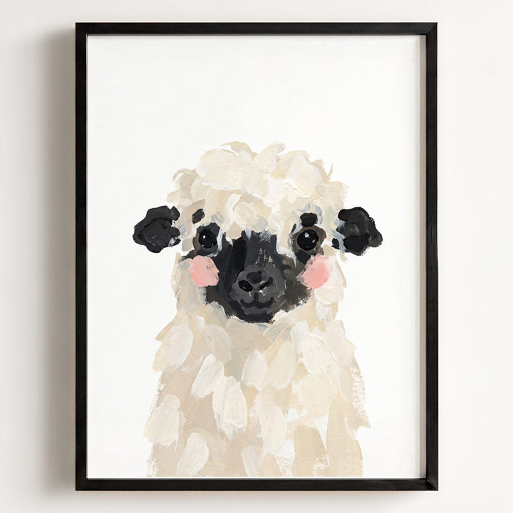 Little Painted Sheep-Blacknose