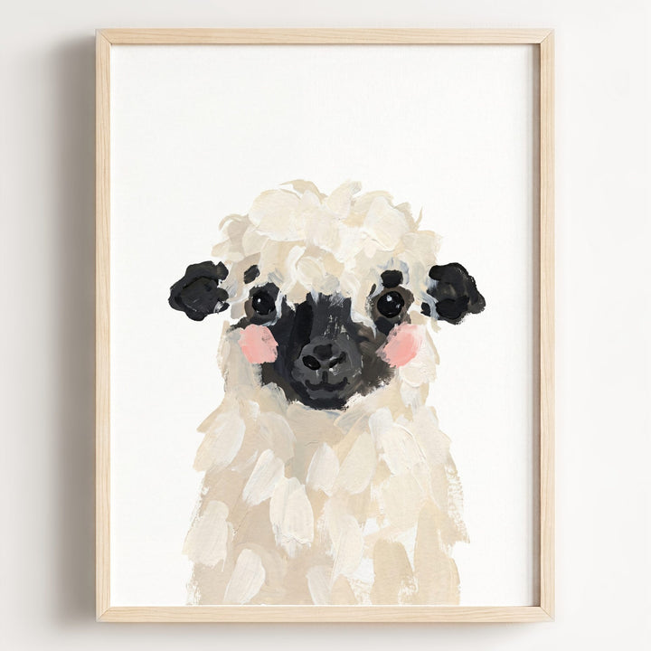 Little Painted Sheep-Blacknose