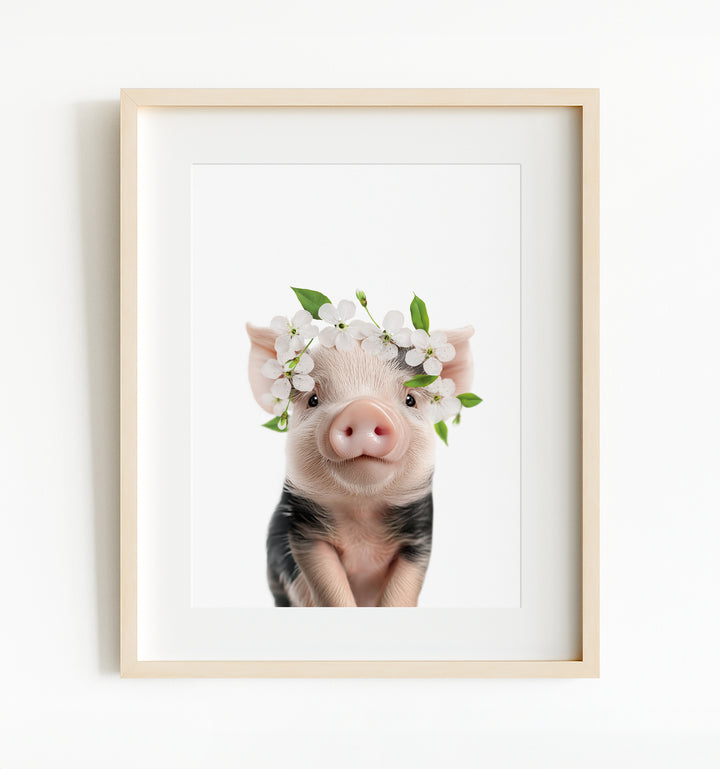 Baby Pig