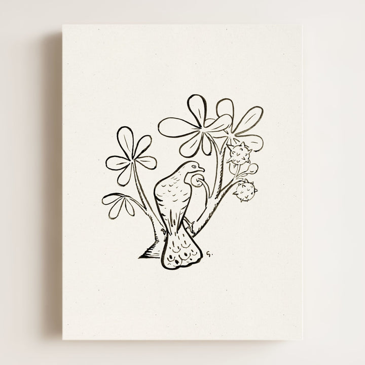 Pigeon Art Print