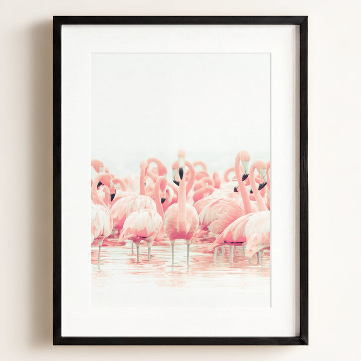 Pink Flamingos