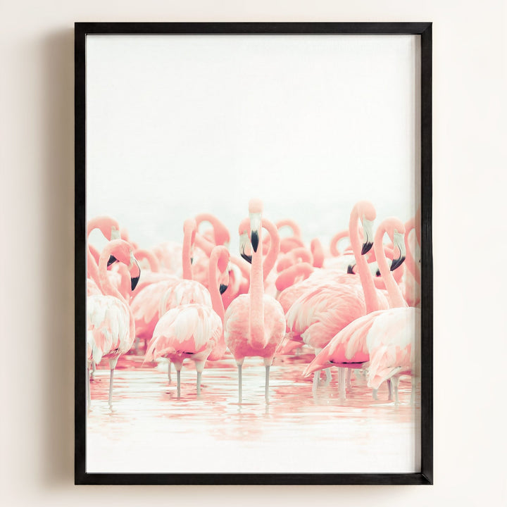 Pink Flamingos