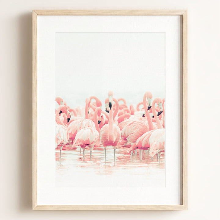 Pink Flamingos