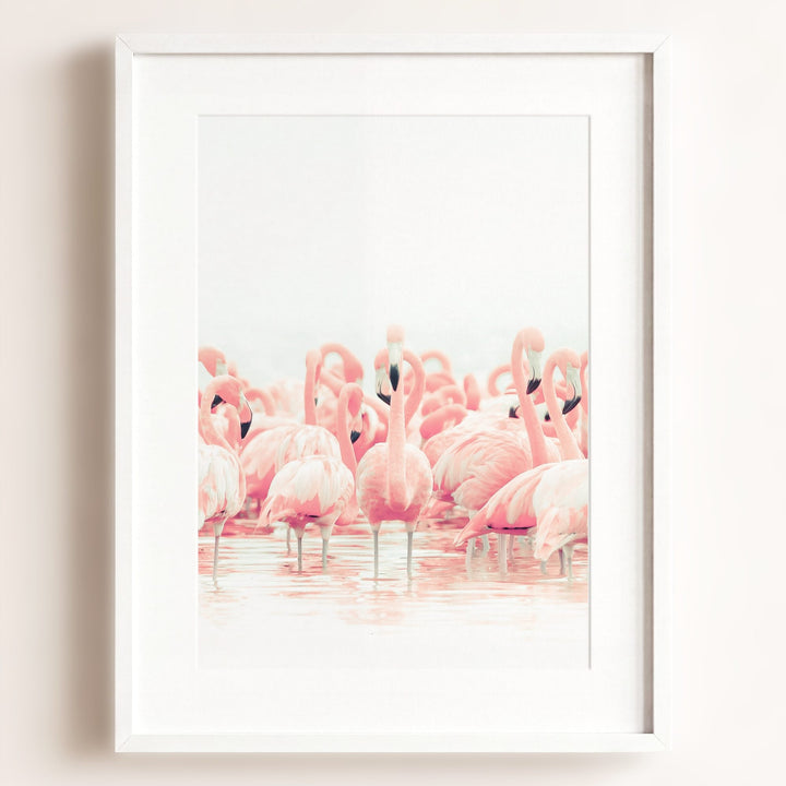 Pink Flamingos